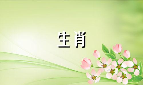 有几个生肖属于土元素?哪些是土属性的生肖?