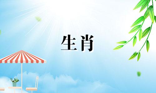 对于属兔的女性来说,最匹配的生肖伴侣是哪个? 即属兔女性的理想配偶属相是什么?当女性属于兔生肖时