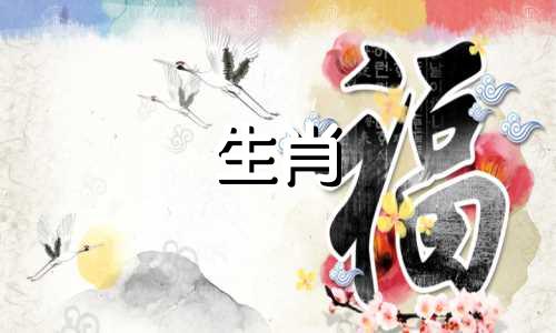 属狗的女性与哪个生肖最为匹配