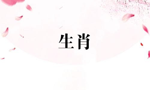 在十二生肖中，哪个属相的动物表现得最为无耻，行事肆无忌惮？