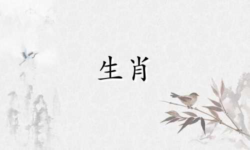 虎与马在十二生肖中的相配情况如何？