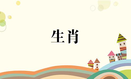 婚姻匹配中，生肖龙与生肖鼠的搭配情况如何？属龙的人和属鼠的人结为伴侣是否相称？