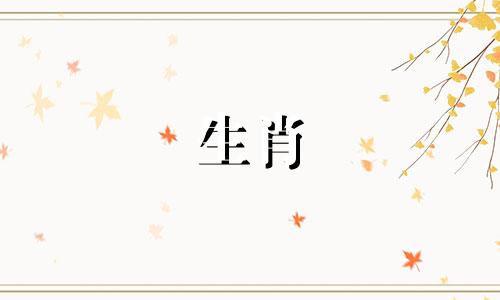 对于女性属狗的人来说，最合适的属相配偶是什么？或者在寻找婚姻伴侣时，女性属狗的与哪些