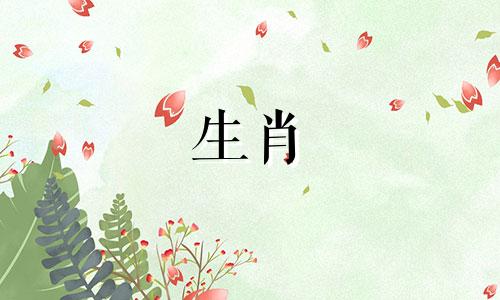 适合与生肖兔配对的属相，以及与属兔最匹配的前十大属相。