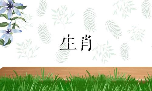 一二生肖指的是哪个属相的贵人，即询问在十二生肖中，哪个生肖被认为是具有吉祥和帮助作用的贵人。