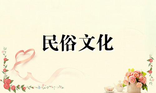 蝴蝶兰的色泽与放置宜忌