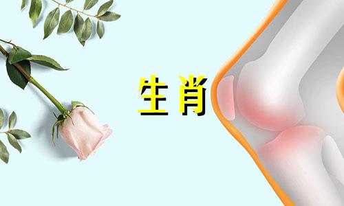 师姐的生肖属相中,哪些是享有好运的?在晚年运势最佳的四个属相女性中,有哪些是天生就拥有福