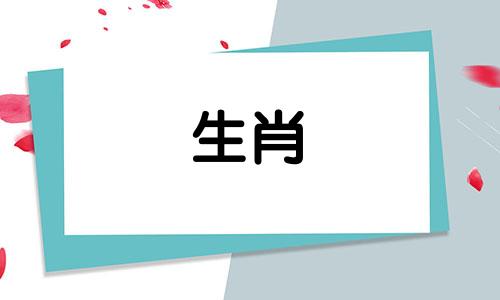 对于属羊的人来说，选择哪个生肖作为伴娘最为合适？
