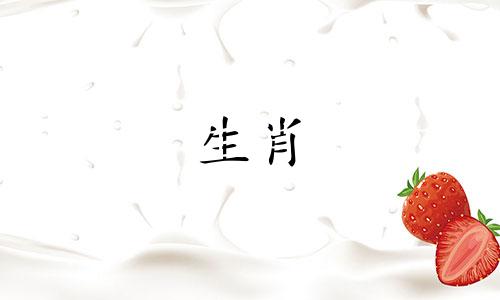 属龙的人今年需留意与特定生肖和属相的相性 土命交大运时，属龙者应避免哪些属