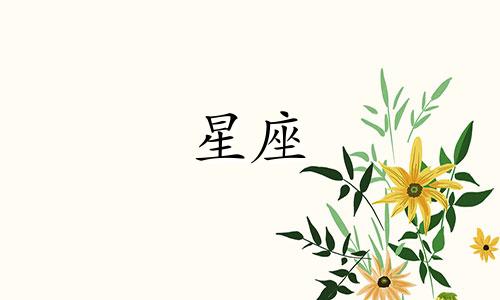 关于我的前半生,可以从星座的角度来分析,特别地,聚焦于双子座这一星座的性格特征。以下是对双子座