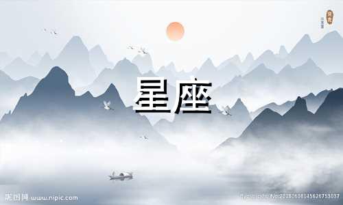 每个星座都有其独特的性格特点和行为习惯,以下是根据星座特性概括的十二星座最常做的事情以及他们最专心投入的事情: