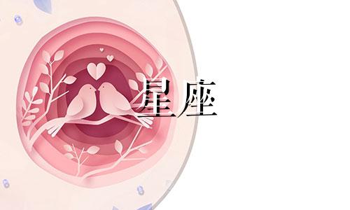 在班级中，每个星座代表一种独特的身份 在学校中，十二星座各自扮演着专属的角色。