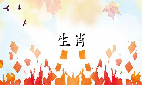 羊年出生的人与哪个生肖最为匹配?