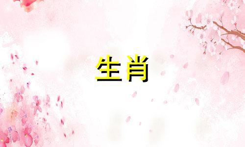 关于属相的配合,人们常会询问哪个生肖与特定生肖更为匹配。在探讨生肖蛇与生肖狗的兼容性时,我们