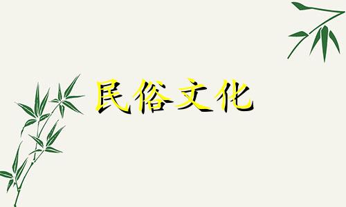室内养花风水禁忌全解析:家庭绿植摆放宜忌图示指南 避免常见错误,别让疏忽导致损失