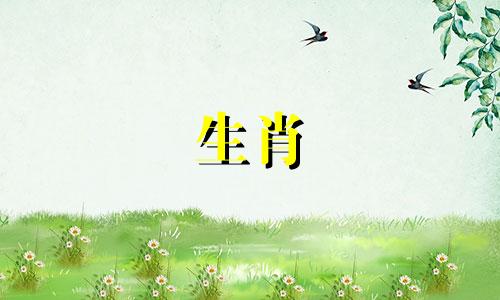 对于生肖蛇的男性而言，在婚姻配对上，某些属相与其存在冲突 哪些属相与属蛇的人最为不和