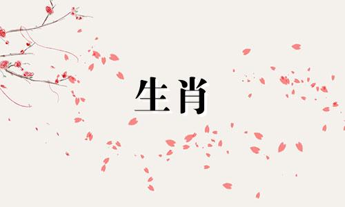 鼠年出生的人在寻找最佳配偶时，会考虑与自己生肖相合的属相。鼠相最匹配的属相是哪些？