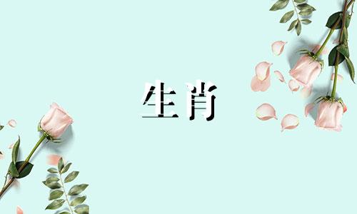 在十二生肖中，包含的属相有：鼠、牛、虎、兔、龙、蛇、马、羊、猴、鸡