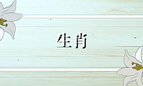 属牛的男性与属兔的女性在生肖配对中是否相合？