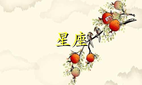 关于星座主题的恐怖电影，每个星座都有其对应的影片，但我忘记了具体的名字。