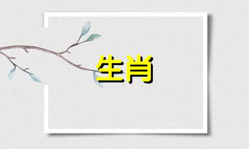 属兔的人与属马的人在生肖配对上是否相合？