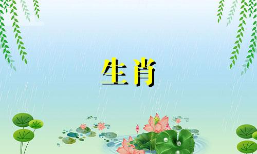 属龙的人与哪些生肖最匹配 最适合属龙人的配偶属相