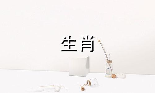 为何生肖的划分以立春为起点？