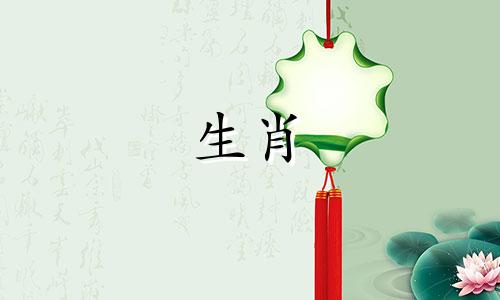 属马男性最匹配的生肖是什么？对于属马的男性而言，他们最适合与哪个生肖的女性结为伴侣？