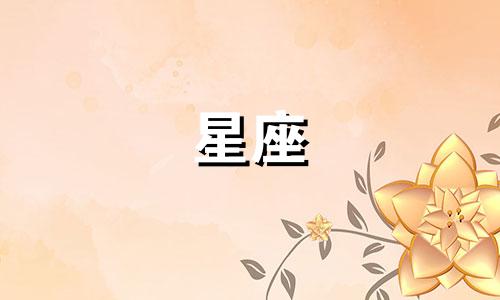 解析十二星座男性的结婚策略：深入了解他们的配偶选择标准