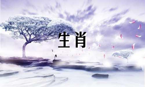 适配属狗男性的生肖配对头像 最佳十二生肖搭配，以及与属狗男性最相称的生肖