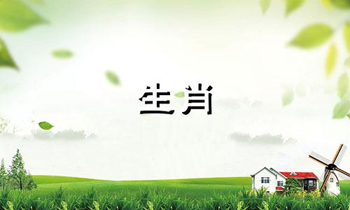 如何判断结婚双方的生肖是否相配 哪些十二生肖组合最适合婚姻