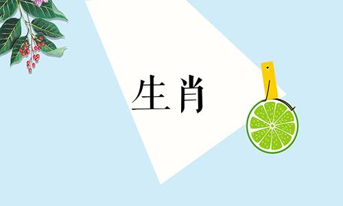 哪些生肖在蛇年与蛇相冲？