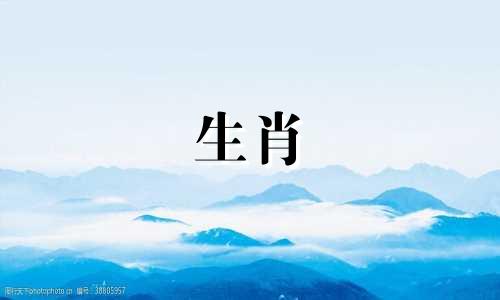 属兔者佩戴的吉祥配饰,以兔年生肖为主题。