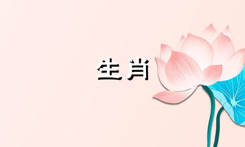 最准确的特马资料12生肖属相包括马、龙、虎、鸡、牛、猪和猴，请问这些动物中哪些