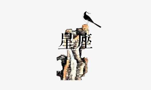 不同星座的女性往往对特定类型的男性有难以抗拒的倾向。