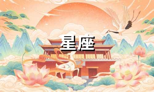 12月25日出生的男性属于哪个星座？