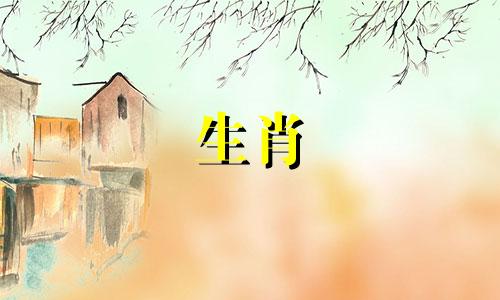 与属龙生肖最为匹配的配偶属相是哪些