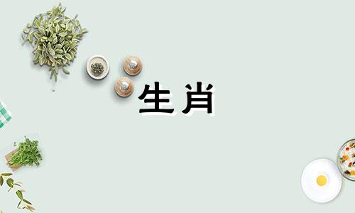 对于生肖鼠的男性和生肖龙的女性来说，他们的孩子出生在哪个属相年份最为吉利？或者对于父母分别是