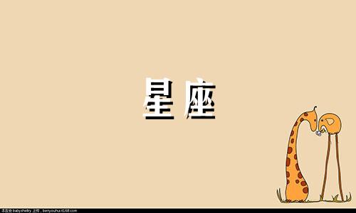 12月8日对应的星座是什么？
