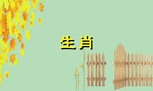 属羊的三合属相是否与生肖羊相匹配？