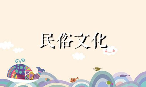 掌握八字算命技巧的学习方法 对八字算命知识感兴趣