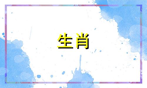 最新十二生肖属相对照表及代号