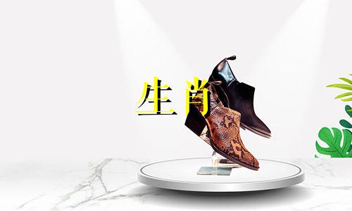 "兔鸡三合生肖是什么属相 十二生肖相冲相克表口诀" 这句话可以改写为："