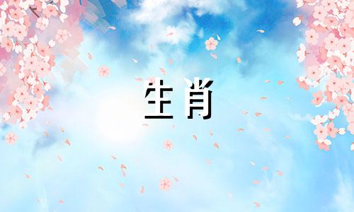 属龙的人与哪些生肖最合拍，合作无间？哪个属相与属龙的人最为契合，共事时能