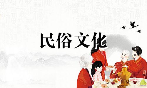 风水上有哪些忌讳需要注意当饲养鸽子时？