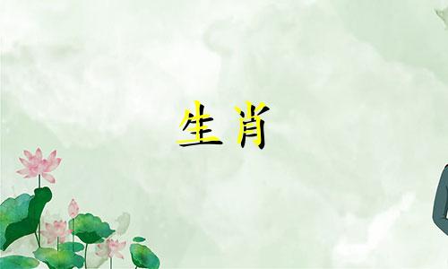 对于属蛇的女性，哪个生肖与其最为匹配