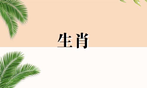 哪个生肖代表了最可爱的狗，或者说，属于可爱小狗的生肖是哪一个？