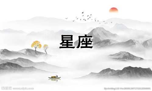 与十二星座相匹配的猫咪属相 最适宜12星座人士饲养的宠物猫