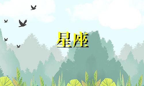 "花式描绘的十二星座代表花卉"