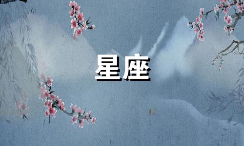 视频解析:威尔士星座图分析与《王牌特工》角色详解